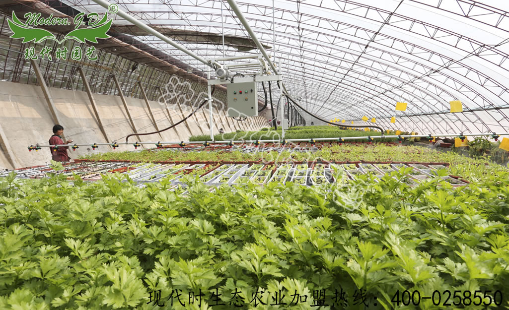 �Ԅӹ�ˮ���